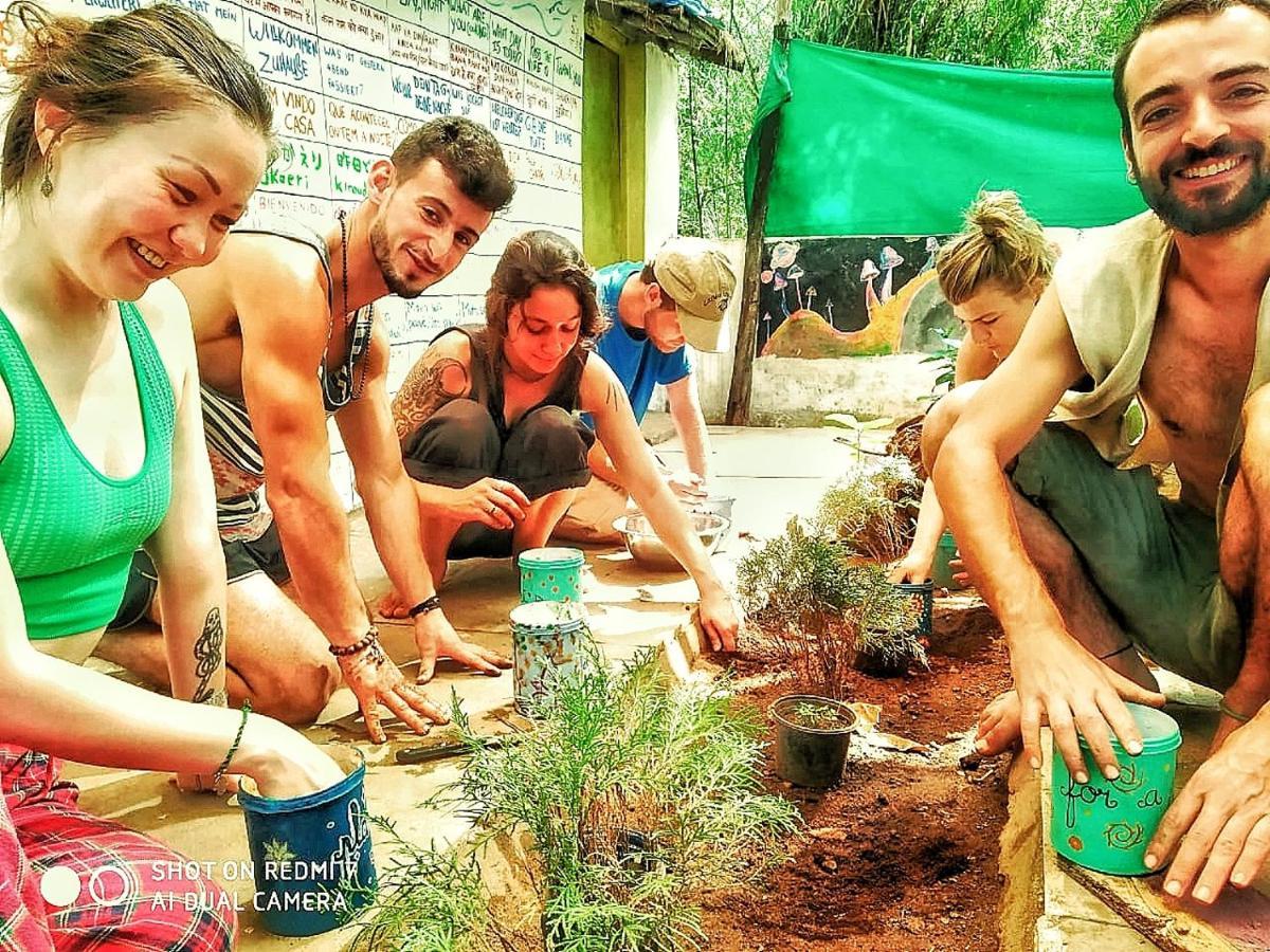 Bunkd Hostel, Anjuna Dış mekan fotoğraf